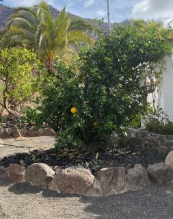 Casa Colonia - 3