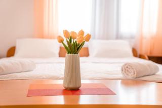 Apartments Serafimoski - 2