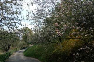 Cozzy apartment in nature - Zagreb - 1