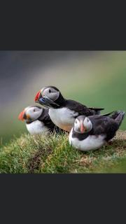 The Atlantic view guest house, Sandavagur, Faroe Islands - 6