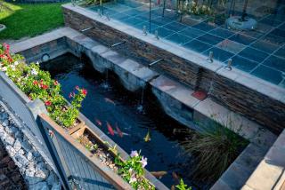 Xirhandziwa M Lodge - Thulamahashi - 1