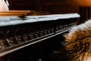 Weinhaus Fries - Kattenes - 2