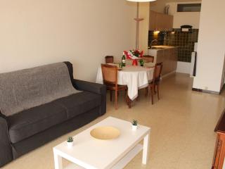 Appartement climatisé avec jardin privé, proche des Thermes et de l'étang de Thau - FR-1-503-116 - Balaruc-les-Bains - 0