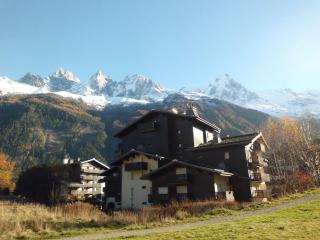 Charmant appartement à Chamonix avec balcon, animaux admis, parking - FR-1-517-12 - Chamonix - 6