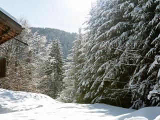 Studio 4 pers avec lave-linge, pied des pistes et parking couvert à Arâches-la-Frasse - FR-1-572-266 - 1