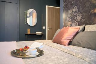 Le Boudoir, Centre ville, Parking couvert inclus - Mulhouse - 1