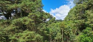 Arado 313 Suites - Monte Verde - 2