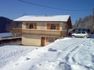 Chalet confortable près de Gérardmer avec cheminée et animaux bienvenus - FR-1-589-195 - 9