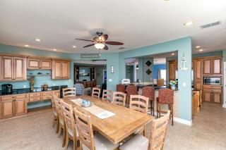 Porpoise of Life - Port Aransas - 7