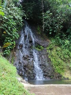 Glamping Malu - Popayan - 6