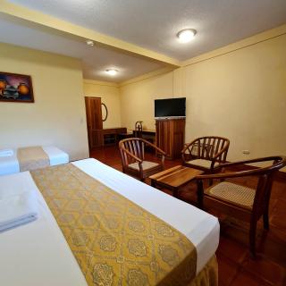 Hotel Austria - León - 1