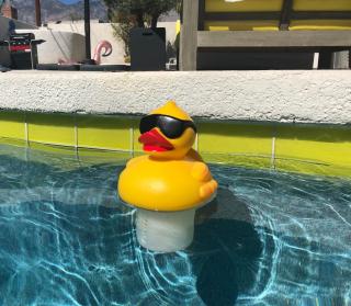 Amarillo House - Luxury Home with Pool & Spa - Palm Springs - 2