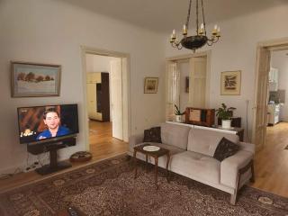 The Best Location salon apartment with main street view - Sarajevo - 8