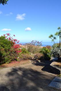 La Petite Kaz Dans la Savane - 1