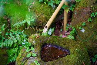 Asagiri hideaway FUJI-朝霧 富士の隠れ宿- - Fujinomiya - 8
