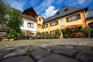 Bio-Weingut Staffelter Hof - Kröv - 3