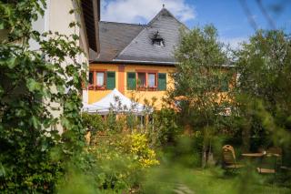 Bio-Weingut Staffelter Hof - Kröv - 4