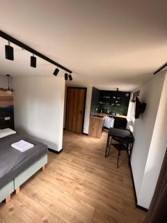 Apartamenty Drewno i Kamień - Wetlina - 4