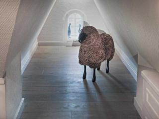 Luxus Weetstich - Archsum - 2