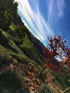 Jazdecký areál Budička - 4