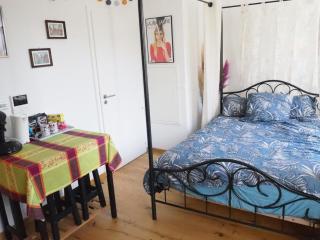 Les Halles : Studio Cosy et Moderne - Strasburgo - 5