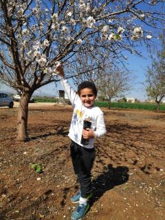 בין הר למעיין - 3