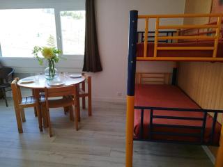 Studio 4 pers au pied des pistes, centre station, proche commerces et sports - FR-1-262-84 - Forest des Baniols - 0