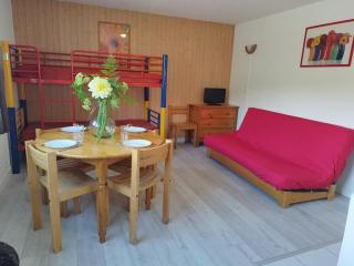 Studio 4 pers au pied des pistes, centre station, proche commerces et sports - FR-1-262-84 - Forest des Baniols - 4