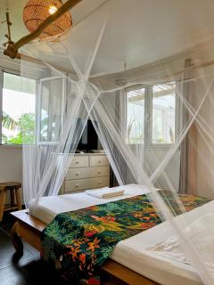 Gite Corossol Martinique, résidence naturiste - 7