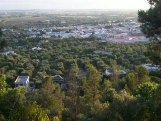 Corte De Sol - Casarano - 1