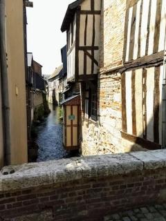 Belle demeure Normande dans son écrin de verdure. - Manneville-sur-Risle - 8