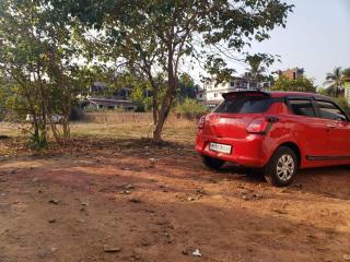 White Truffle Resort, Arambol - Arambol - 3