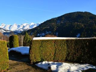 Appartement 3 pièces avec garage, 6 couchages au Grand-Bornand - FR-1-241-100 - Le Grand-Bornand - 6