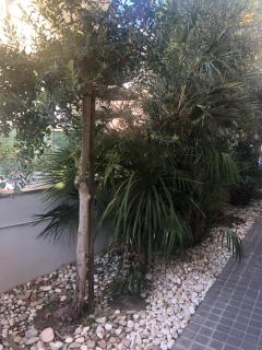 a casa Minerva - Rimini - 2
