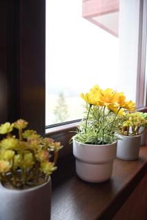 Apartman Dream - Zlatibor - 4