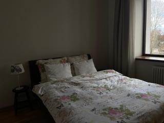 Riga RiverPark - One-Bedroom Apartment Near Downtown - Riga - 3