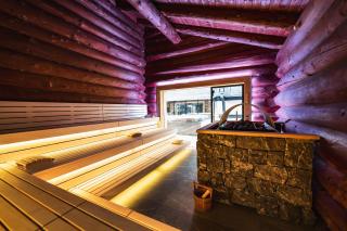 Wellness Hotel Alpenhof - Zermatt - 3