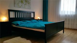 Max Aviation Villa & Apartments - Bern - 5