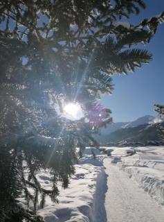 Livigno Appartamento La Tesciadra - Livigno - 8