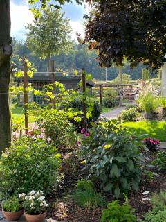 B&B 't Speulderbos - Ermelo - 9