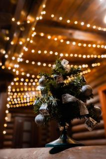 Villa Garden Hotel - 3