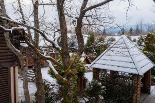 Villa Garden Hotel - 1