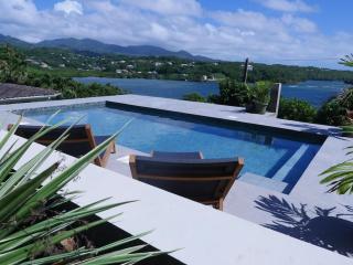 Villa Adina - A luxury villa with pool, perfect for a quiet hideaway or an exotic escape - Westerhall Land Settlement - 0