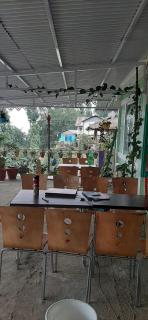Kusuman Homestay - Kalimpong - 1