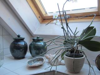 Ferienwohnung-Spessart - 5