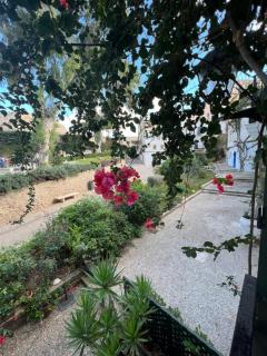 La Ventana - Ibiza città - 2