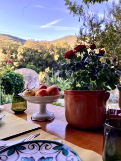B&B La Fucinaia Pet Friendly Adults only - Campiglia Marittima - 7