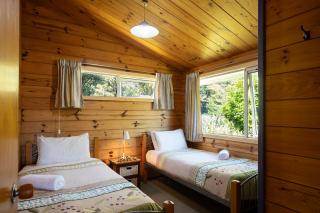 Nikauscapes - Hot Tub in Punakaiki Village - 4