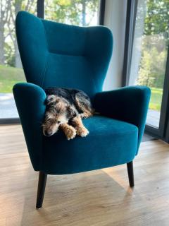 Apartament Na Szlaku - 9