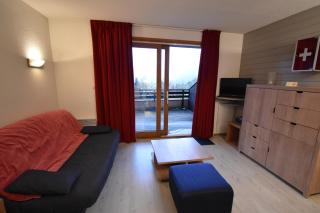 VAUJANYLOCATIONS - COCHETTE 1 APT 2 - Vaujany - 3